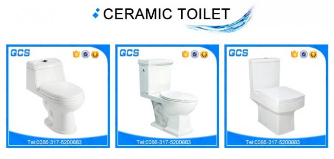 Niedrige Zisterne des Badezimmers einzelne Spültoilette