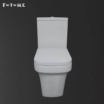 Schwerkraft, die nahes verbundenes WC WC spült