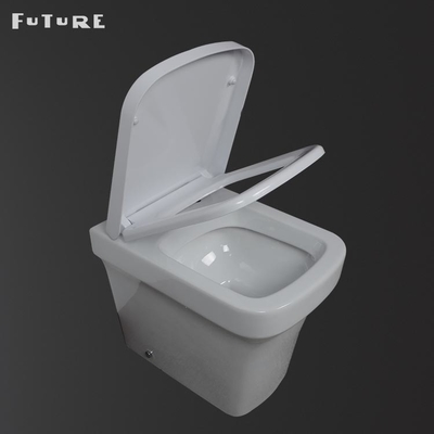 Antibakterieller Vertrag zurück zu Wand-Toilette