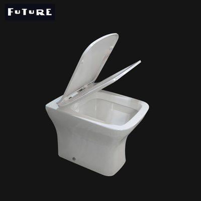 Ebenes Verdoppelung3L 6L modern zurück zu Wand-Toiletten-randlosem Wassersparen WC