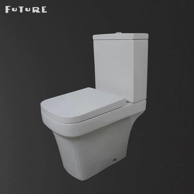 Der p-Blockierstumme, der nahen verbundenen Badezimmer-Toiletten-Boden spült - brachte WC ISO9001 an