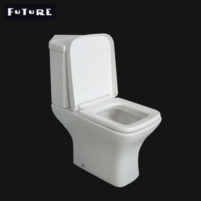 Raumersparnis-idealer Standardabschluß verband Toiletten-Ganzwäsche-WC ISO9001