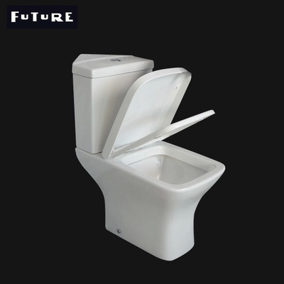 Raumersparnis-idealer Standardabschluß verband Toiletten-Ganzwäsche-WC ISO9001