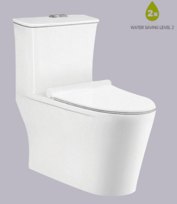 Philippinisches Blockier-Siphonic WC-System-antibakterielles Mittel 700x415x720mm Größen-S
